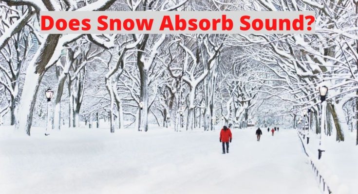 雪吸收听起来